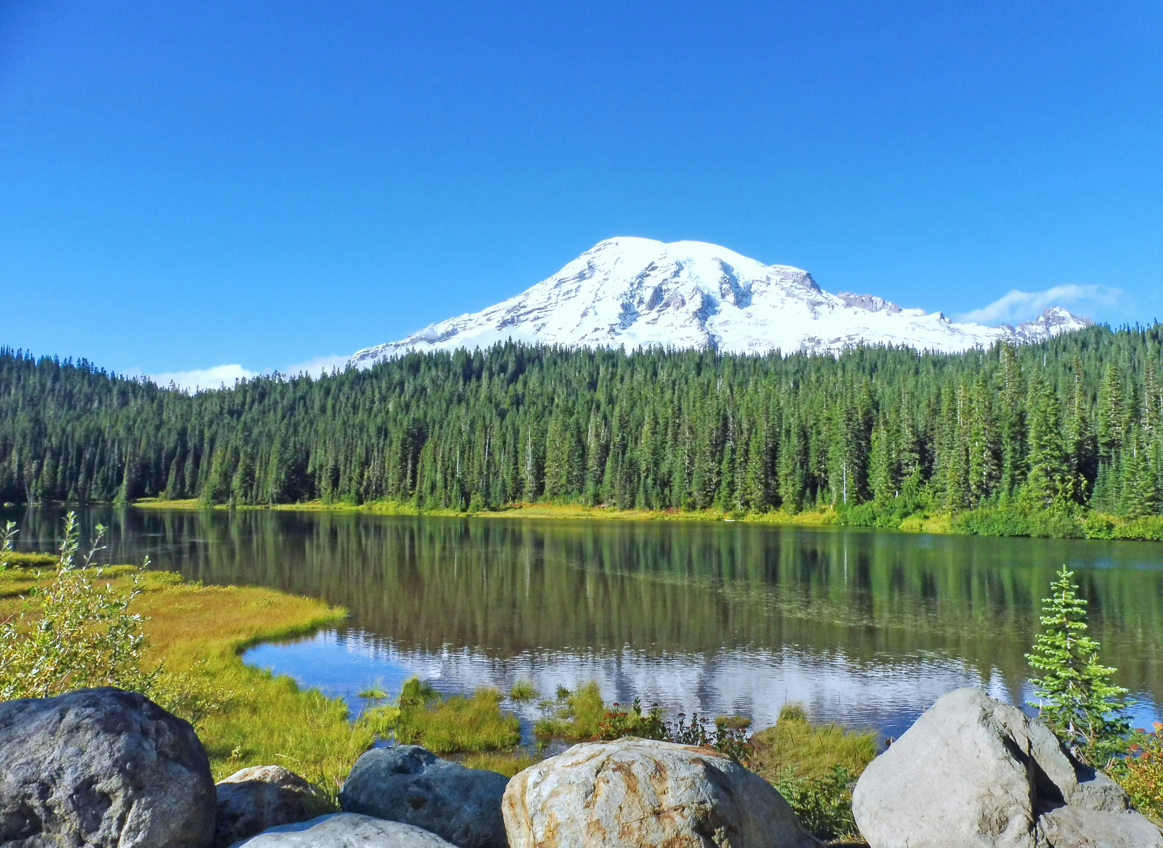 Snow-covered Mount Rainier reflected in a calm lake bordered by evergreen trees under a clear blue sky.