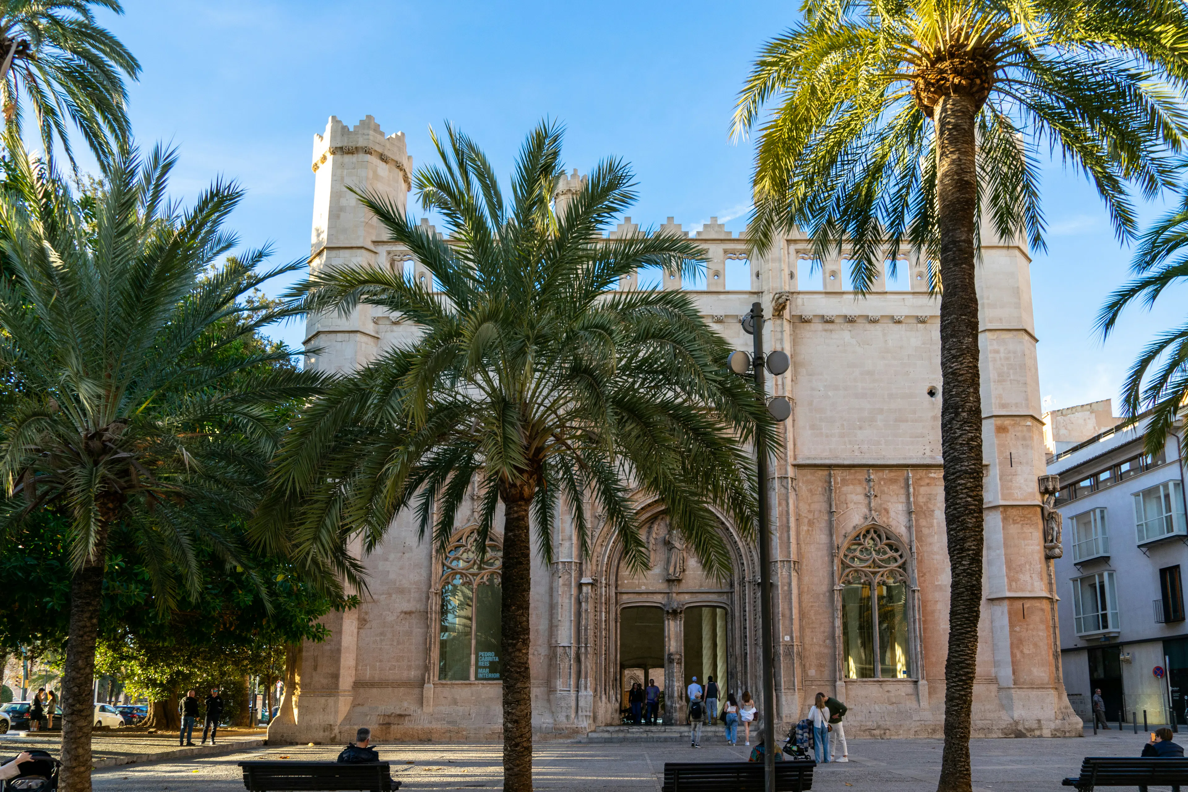 Historic stone cathedral framed by palm trees, highlighting Mallorca’s Gothic architecture and Mediterranean setting.