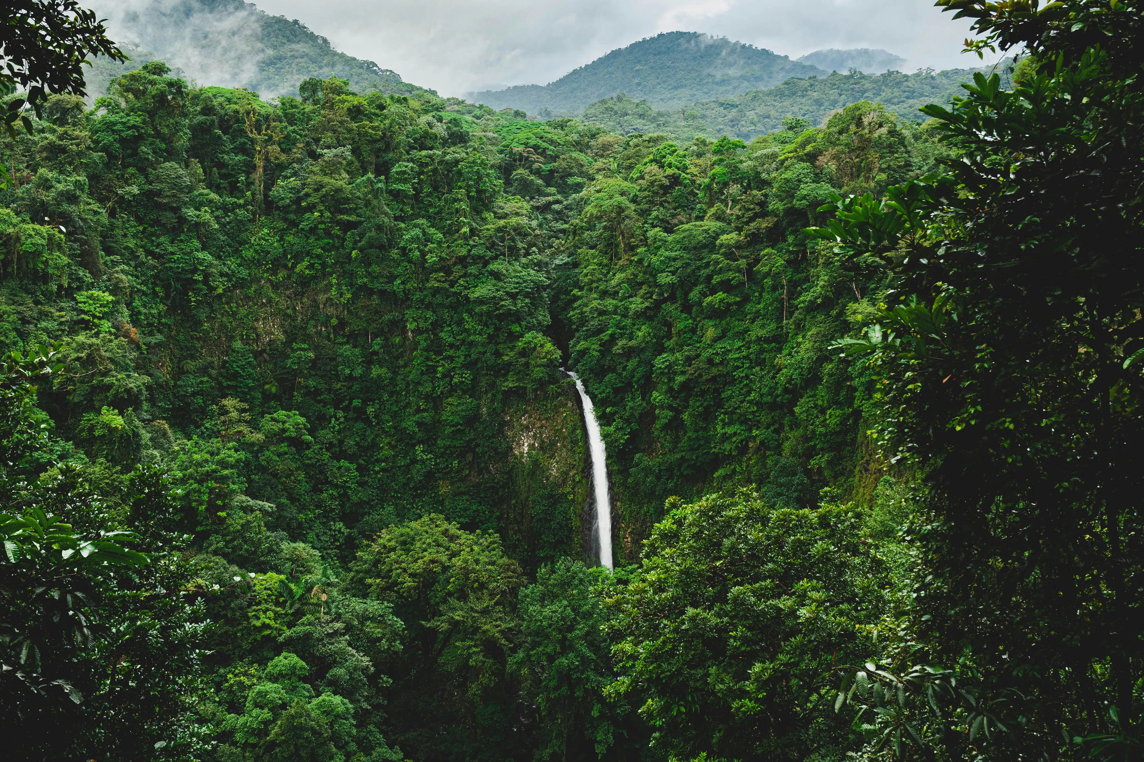 Waterfall cascading through dense tropical rainforest with mist-covered mountains in the background.