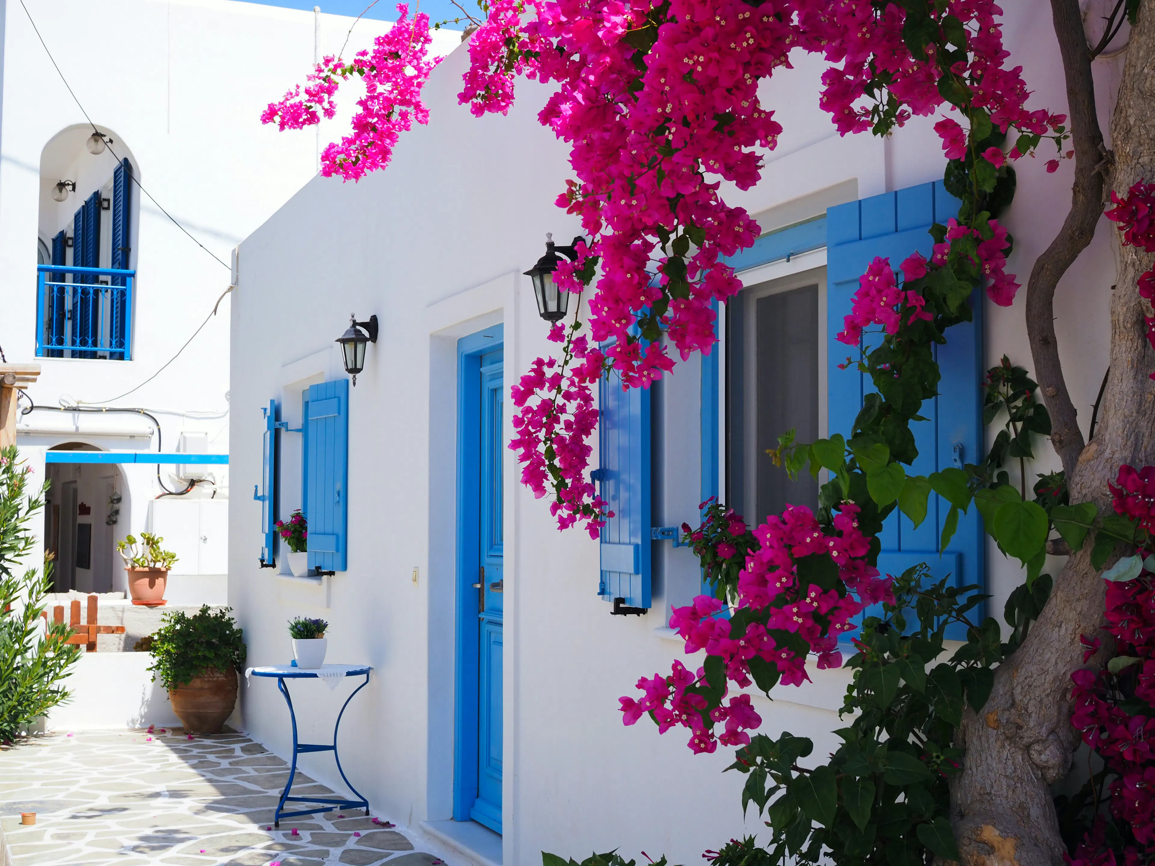 Whitewashed buildings with blue doors and windows, framed by vibrant bougainvillea flowers along a charming village walkway.