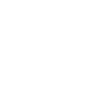 Logo Next