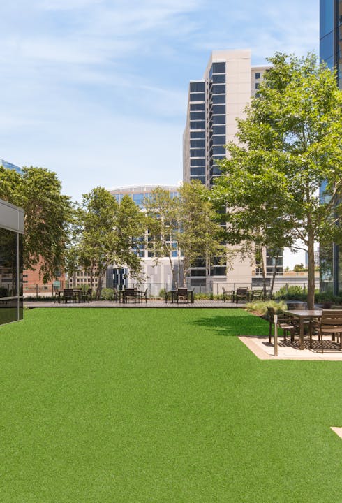 The Next Frontier in Office Space? The Outdoors