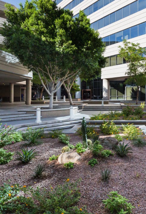 Outdoor Workspaces are Having a Post-pandemic Moment