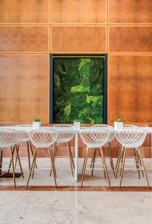 How A Healthy Workspace Can Transform Your Office Culture