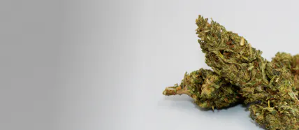 Galaxy Greens