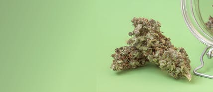 Zy22j68jQArT0mWw_CategoriesBanner-5