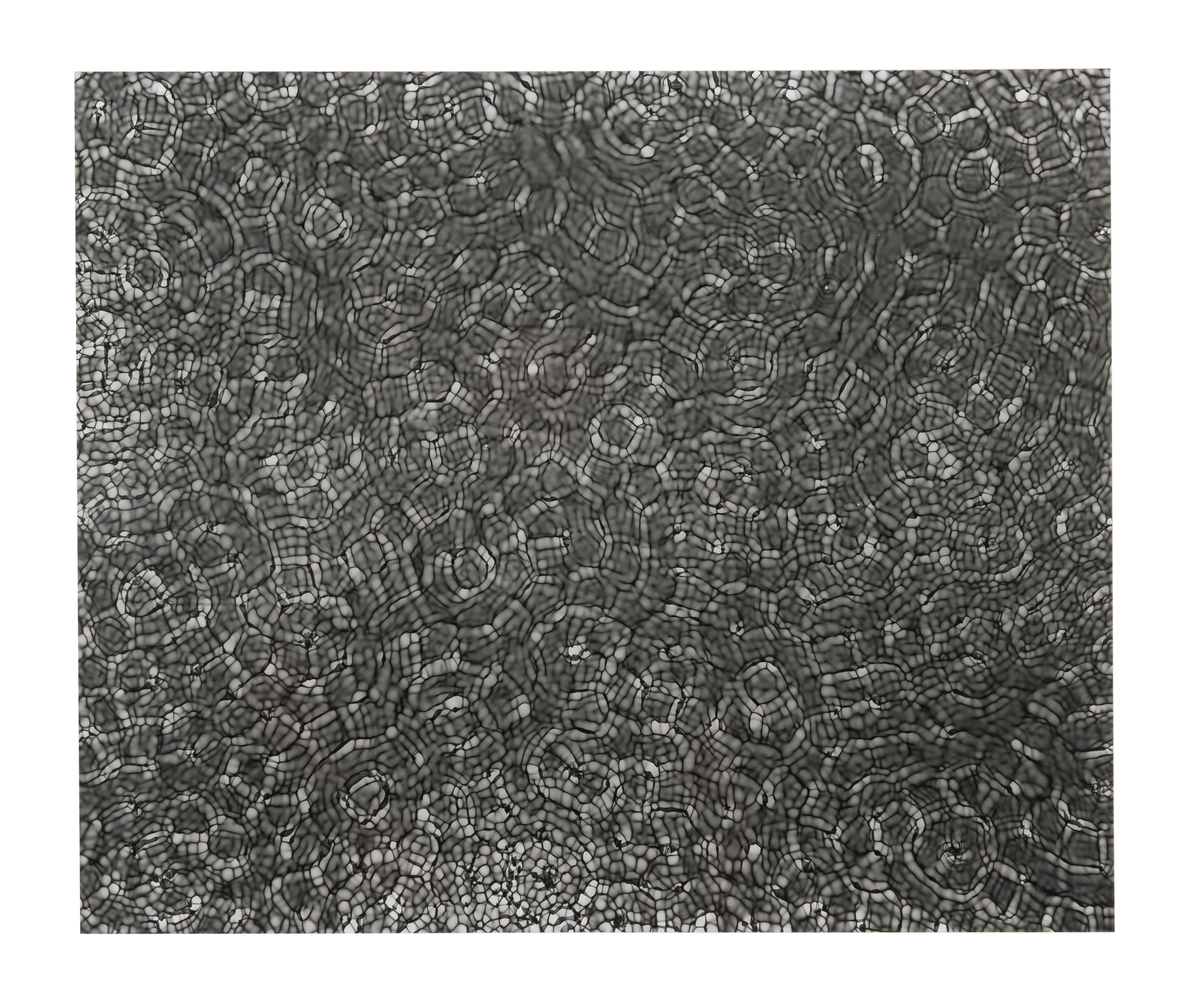 video thumbnail placeholder