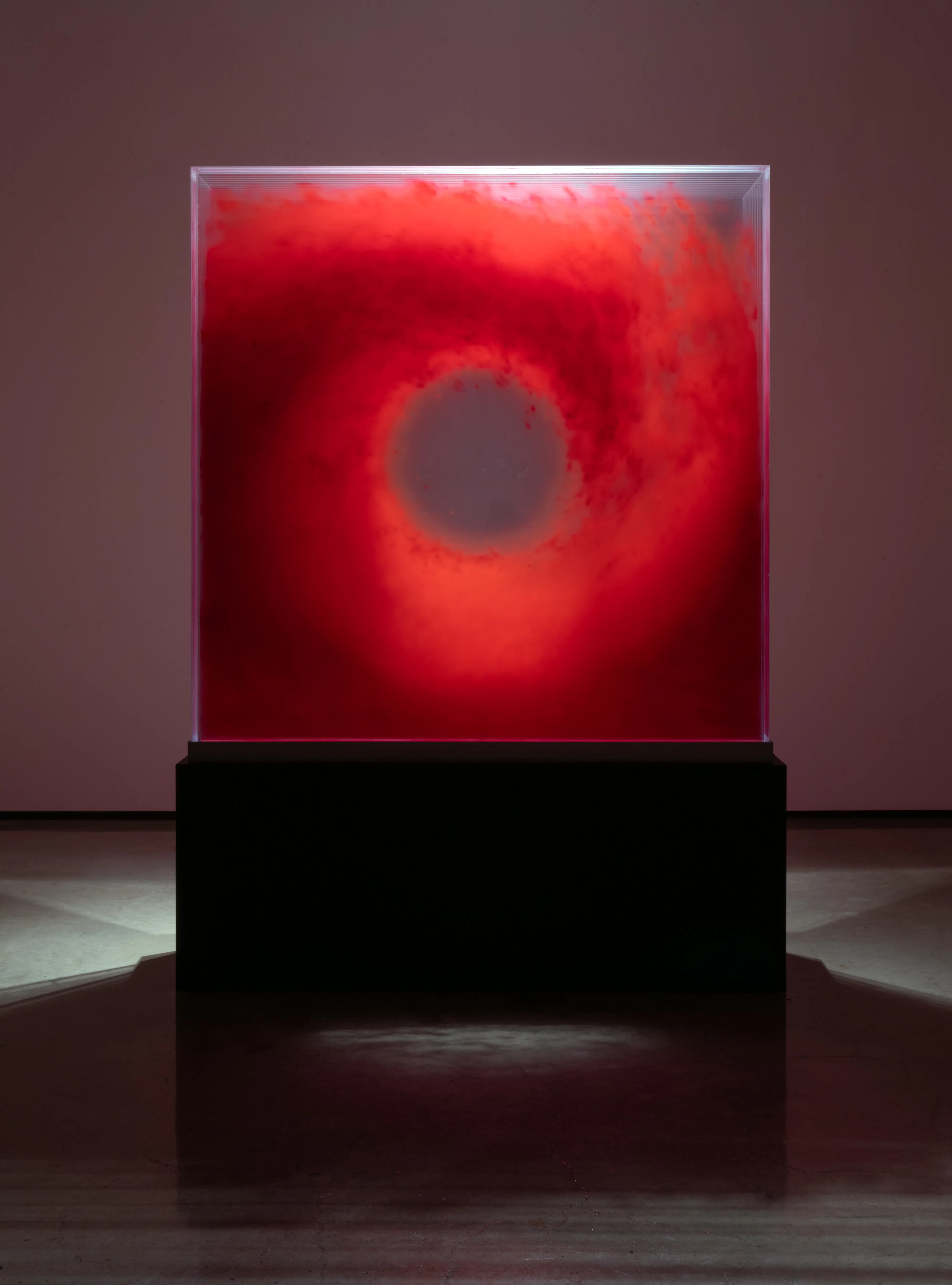 David Spriggs