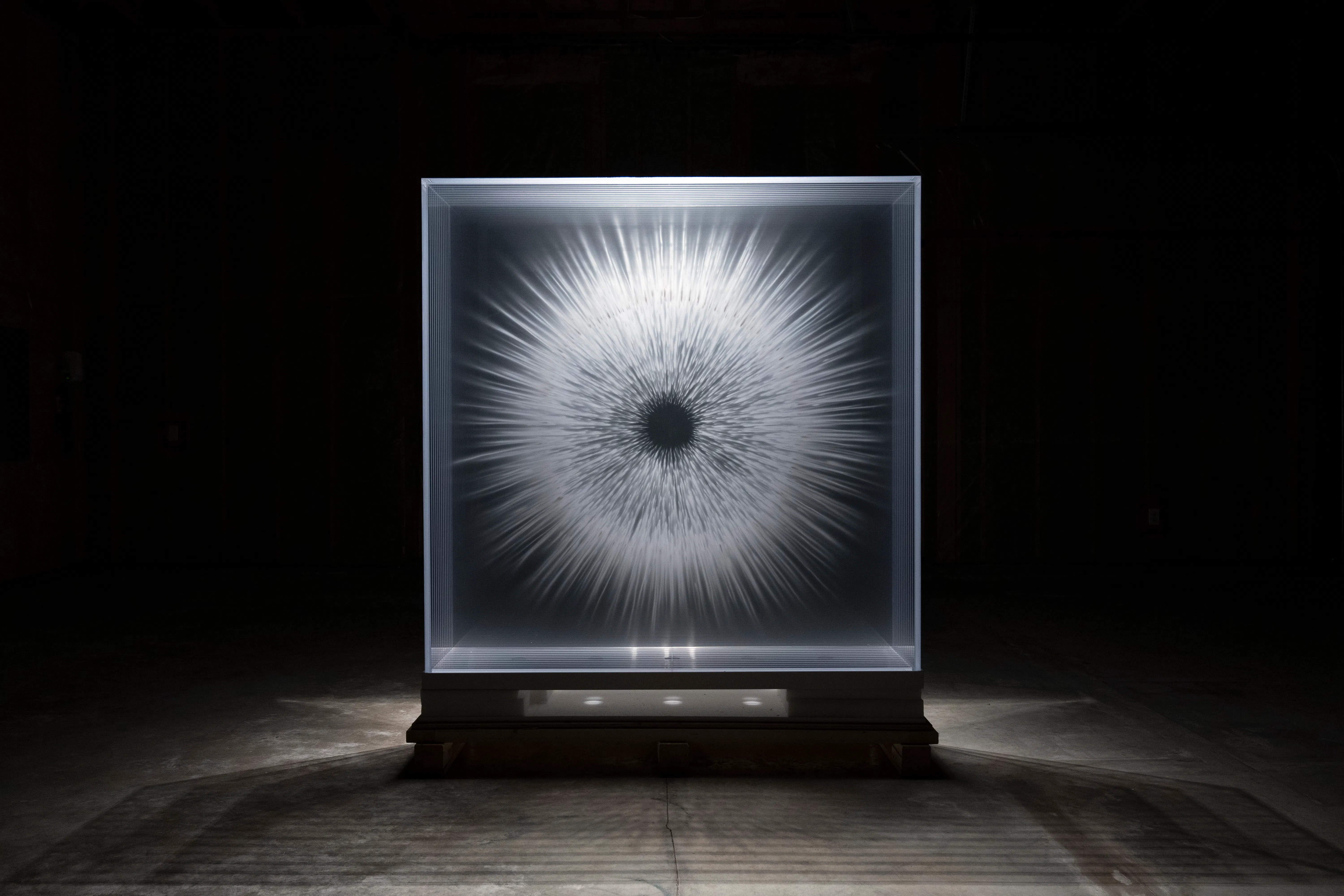 David Spriggs