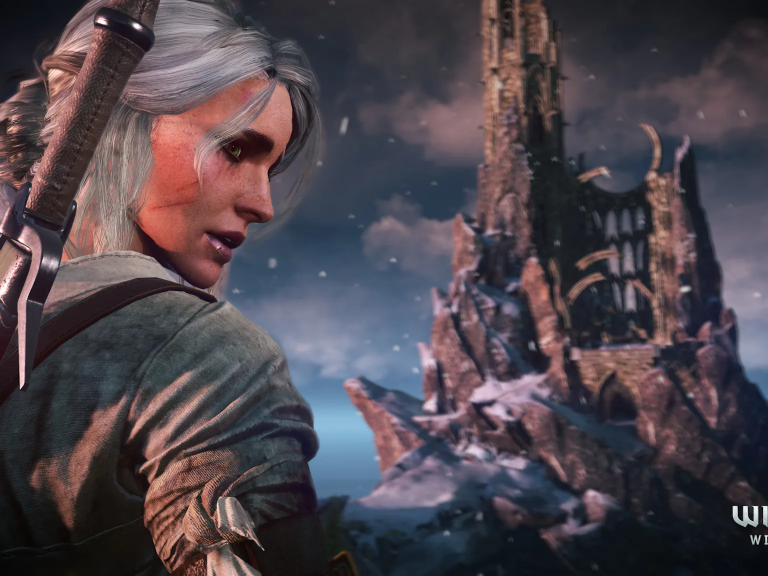 The Witcher 4 Controversy Ciri as Protagonist Sparks Debate art