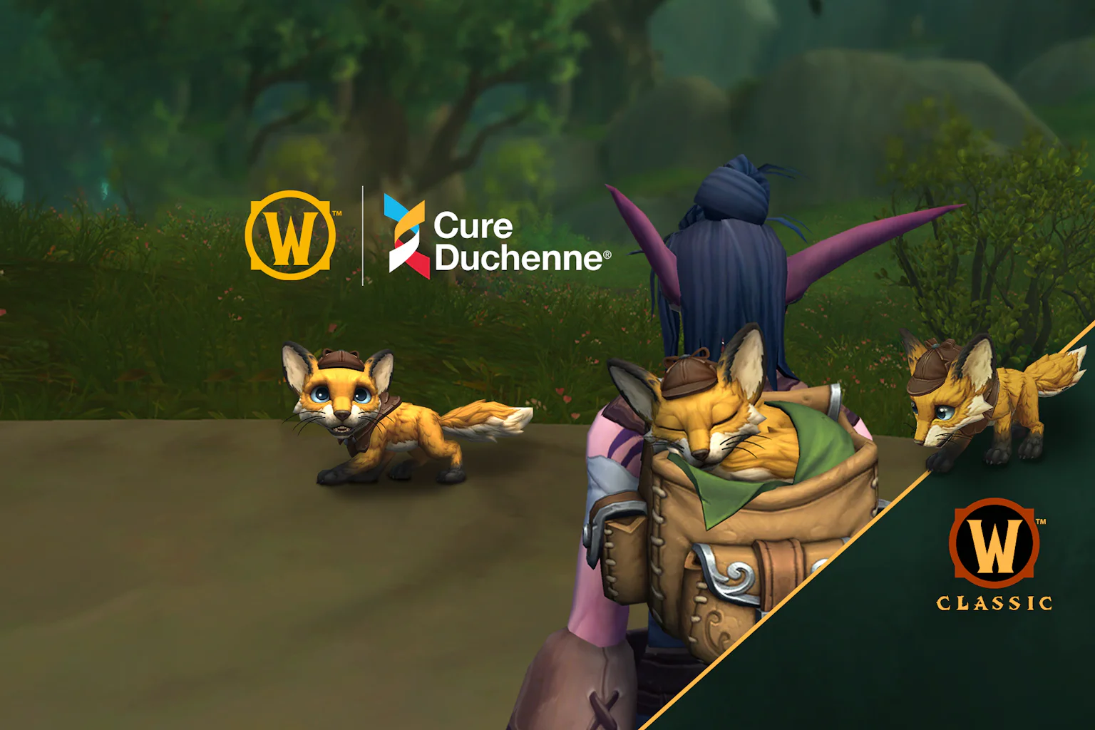 Blizzard WoW charity fundraiser art