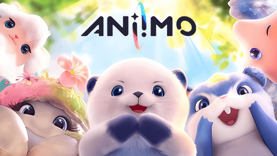 What is Aniimo?