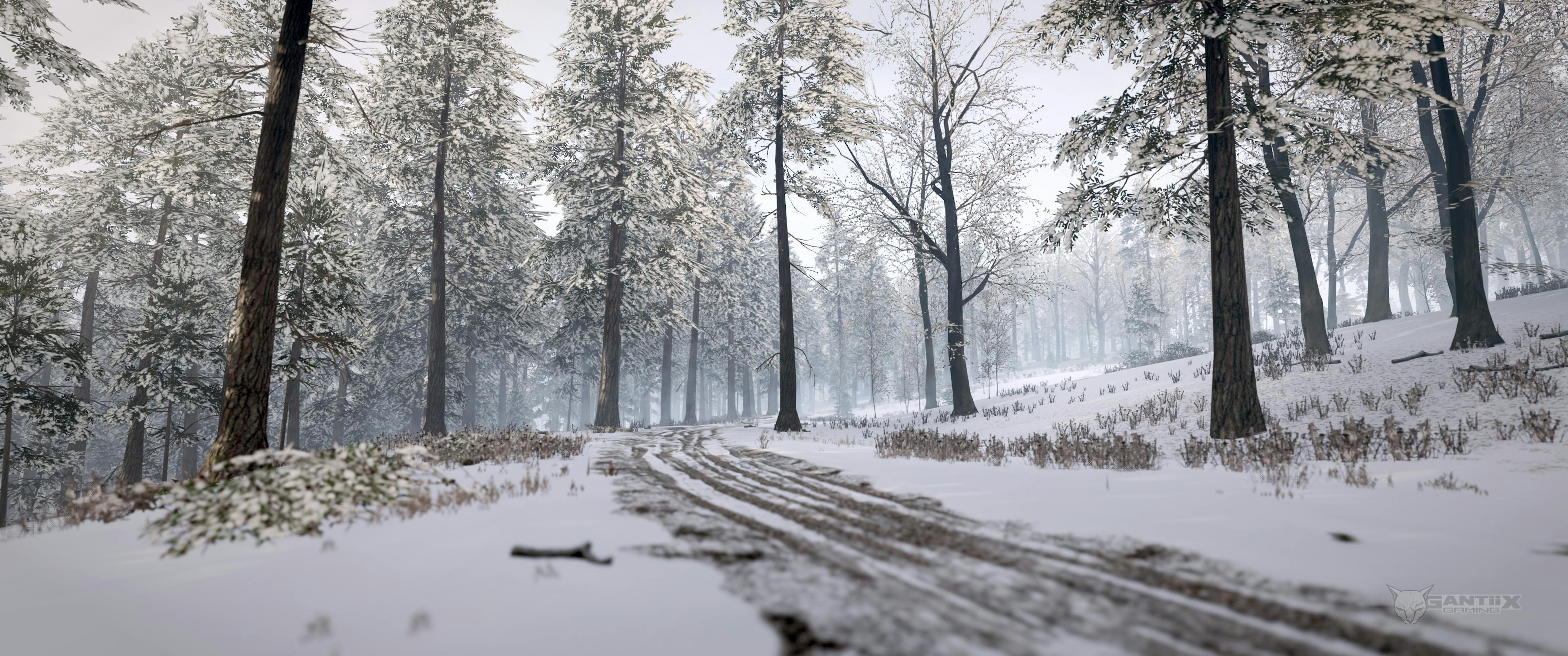 FH4 - Forest path in snow