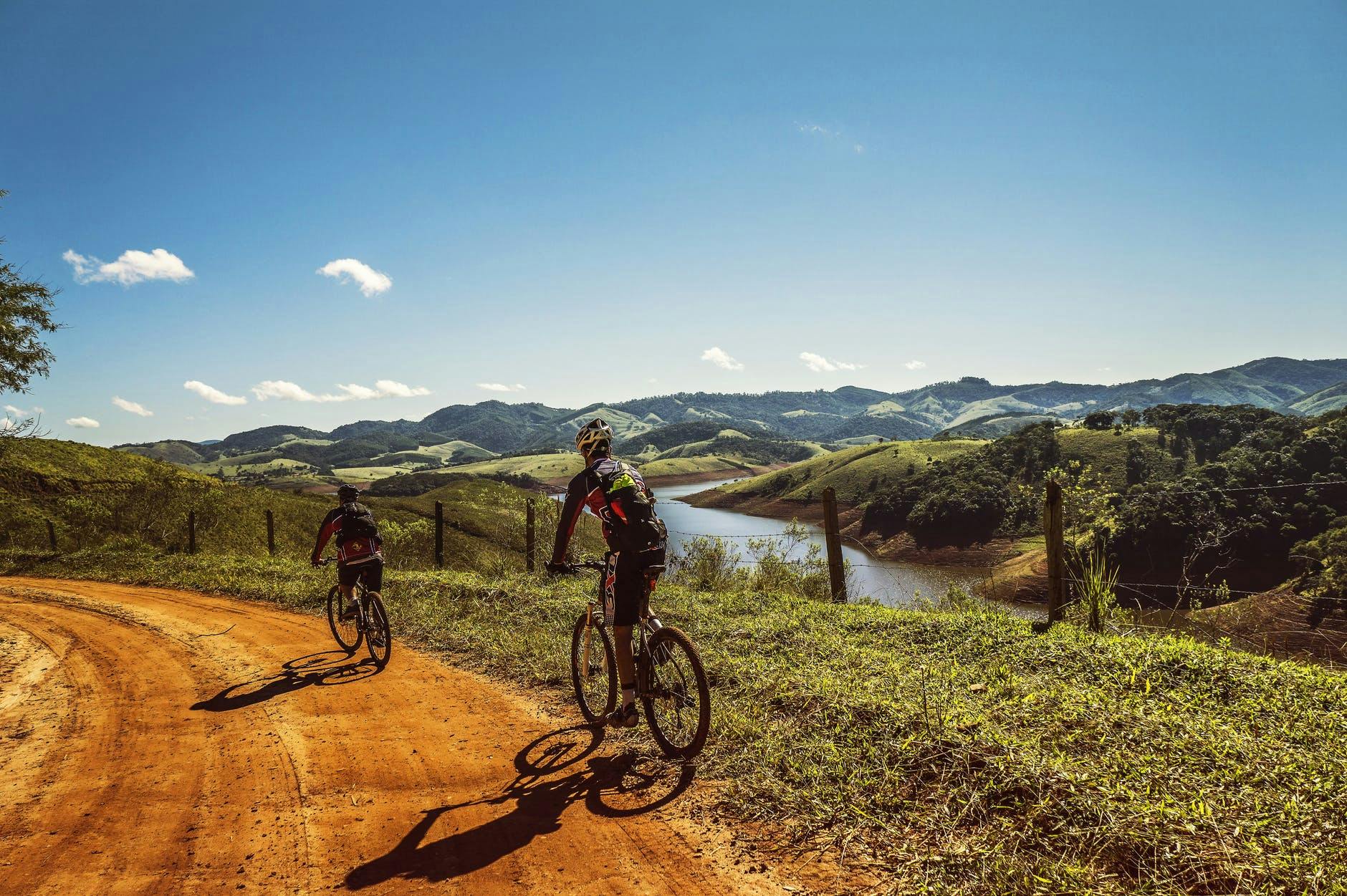 mountain bikers on a trail 