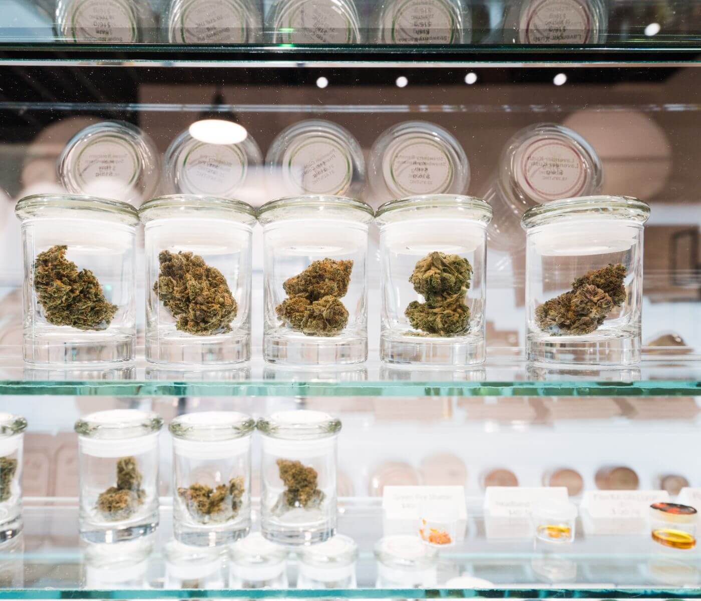 Your Guide to California Weed Strains