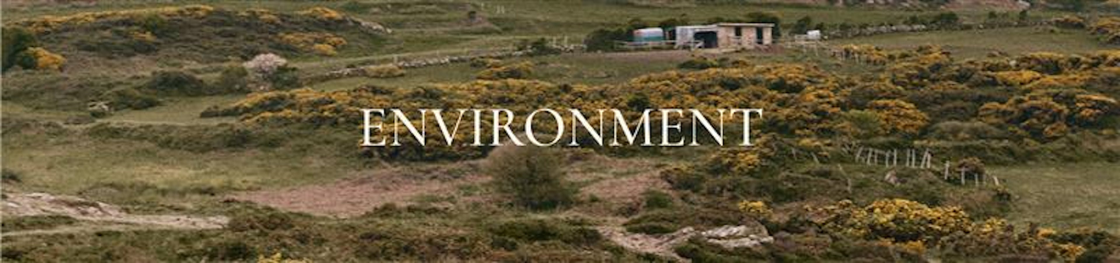 Single Banner Image Desktop