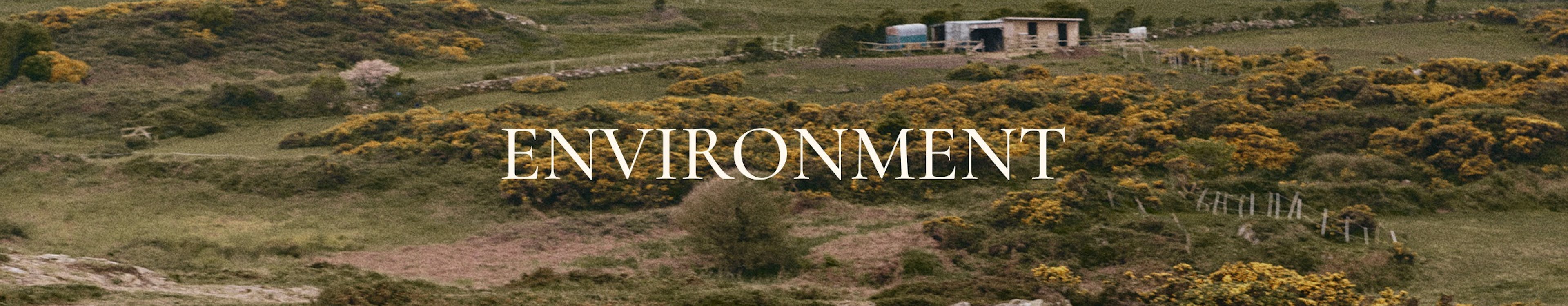 Single Banner Image Desktop