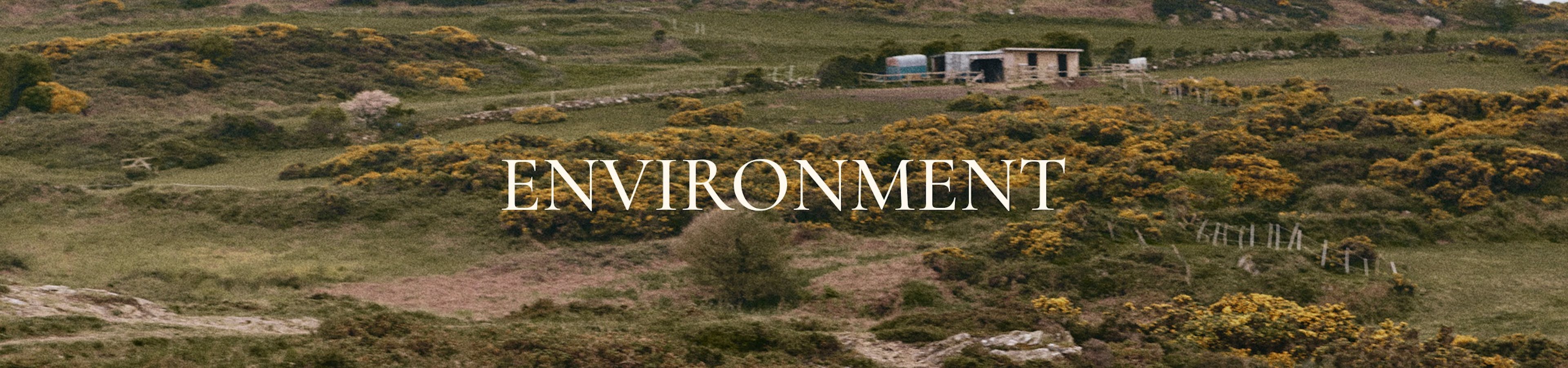 Single Banner Image Mobile