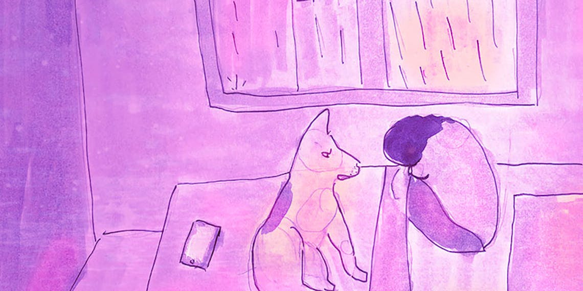 Garitma, fondo de pantalla para celular joven en la noche lluviosa con perro, dibujo marcador sobre papel