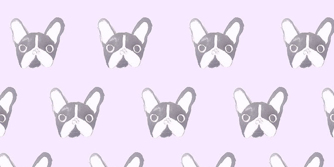 Garitma, fondo de pantalla para celular patrón de perros Boston terrier , dibujo marcador sobre papel