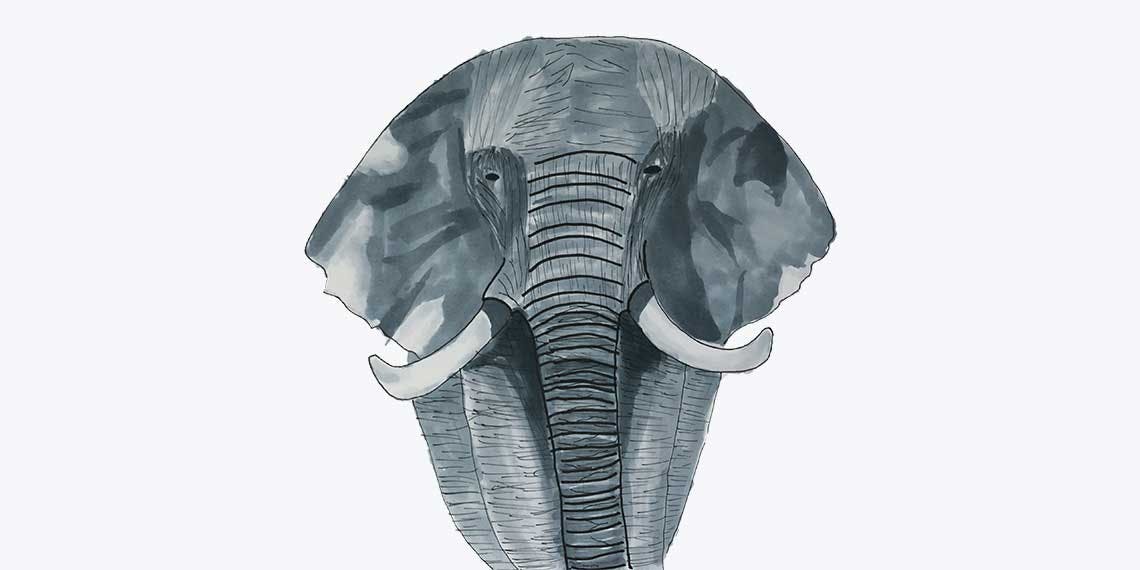Garitma, elefante caminando de frente, dibujo marcador sobre papel