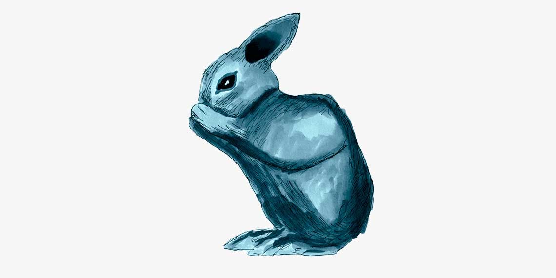 Garitma, conejo comiendo, dibujo marcador sobre papel