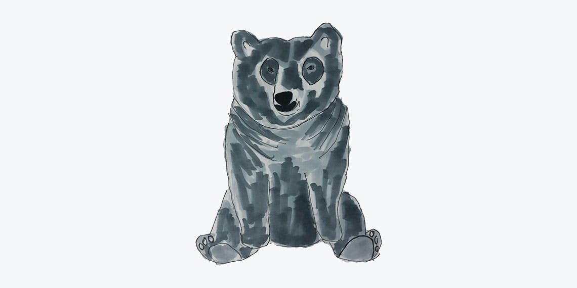 Garitma, oso sentado, dibujo marcador sobre papel