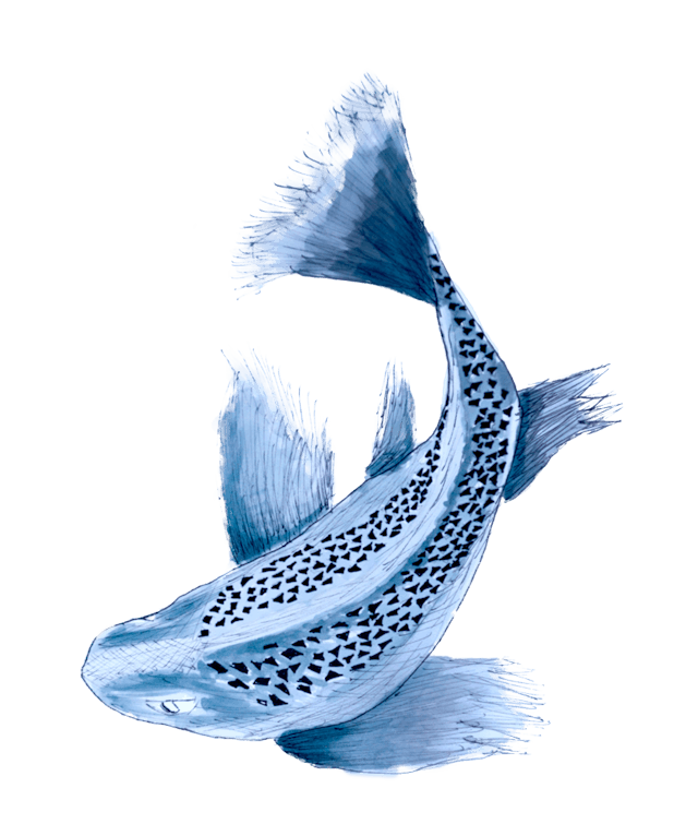 Nadie escucha una lágrima caer