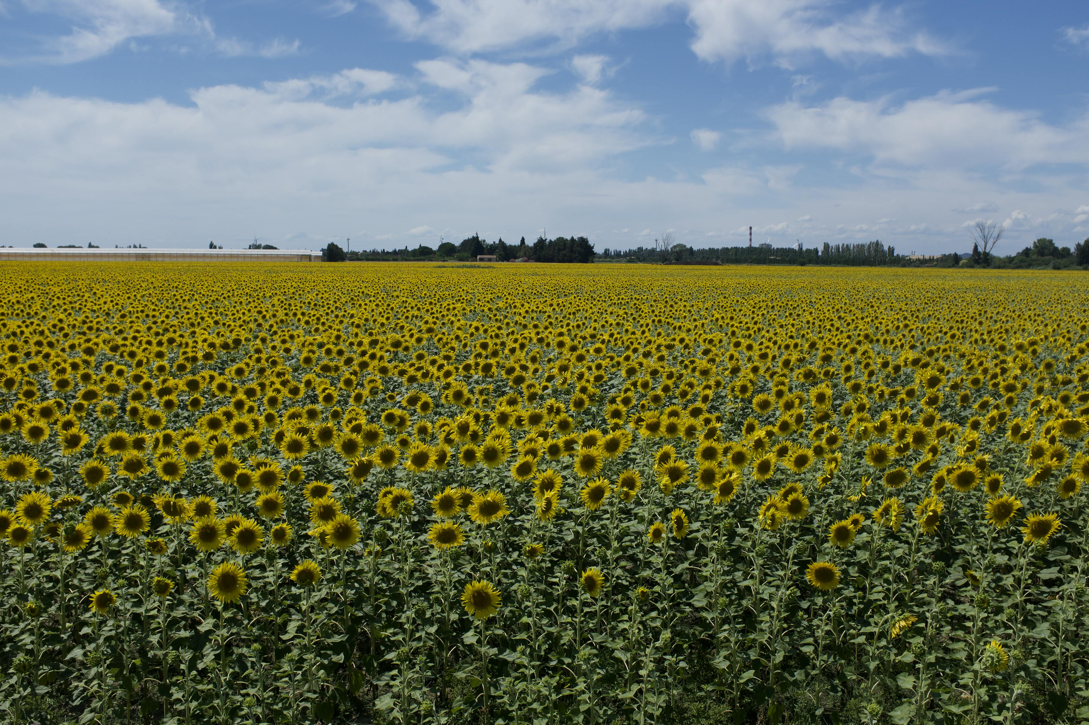 Near Arles, France