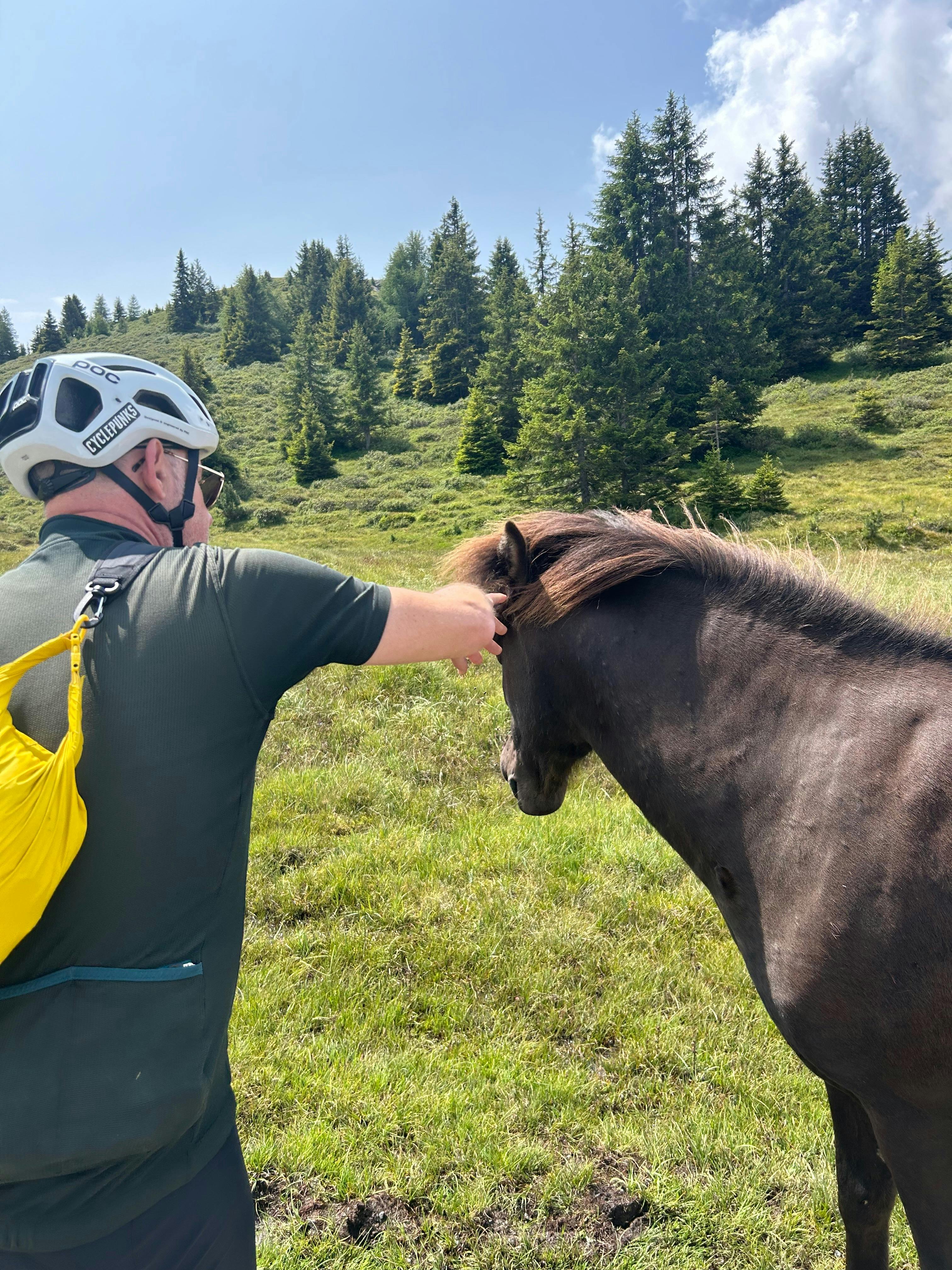 Uwe with another horse