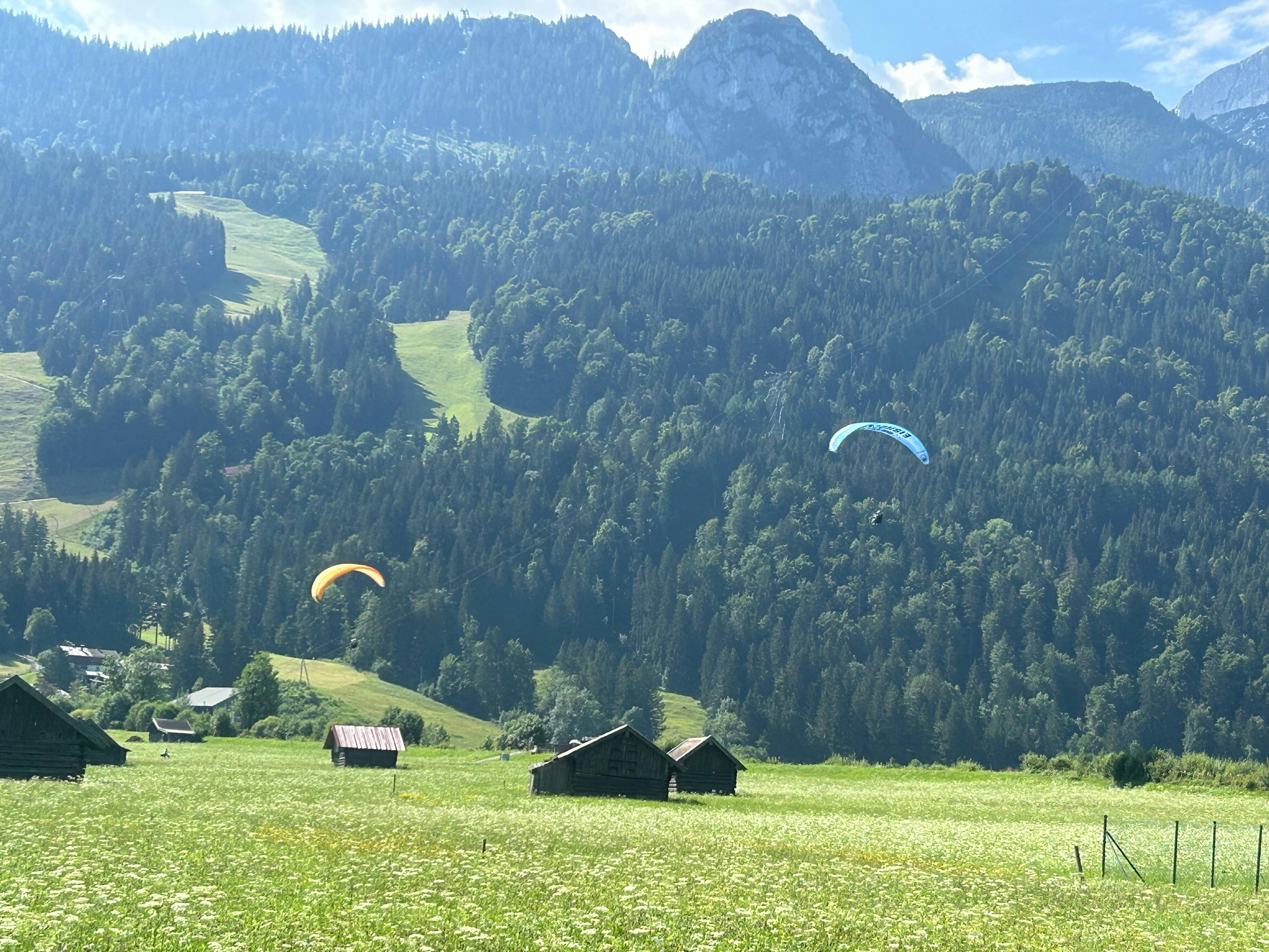 paragliders 