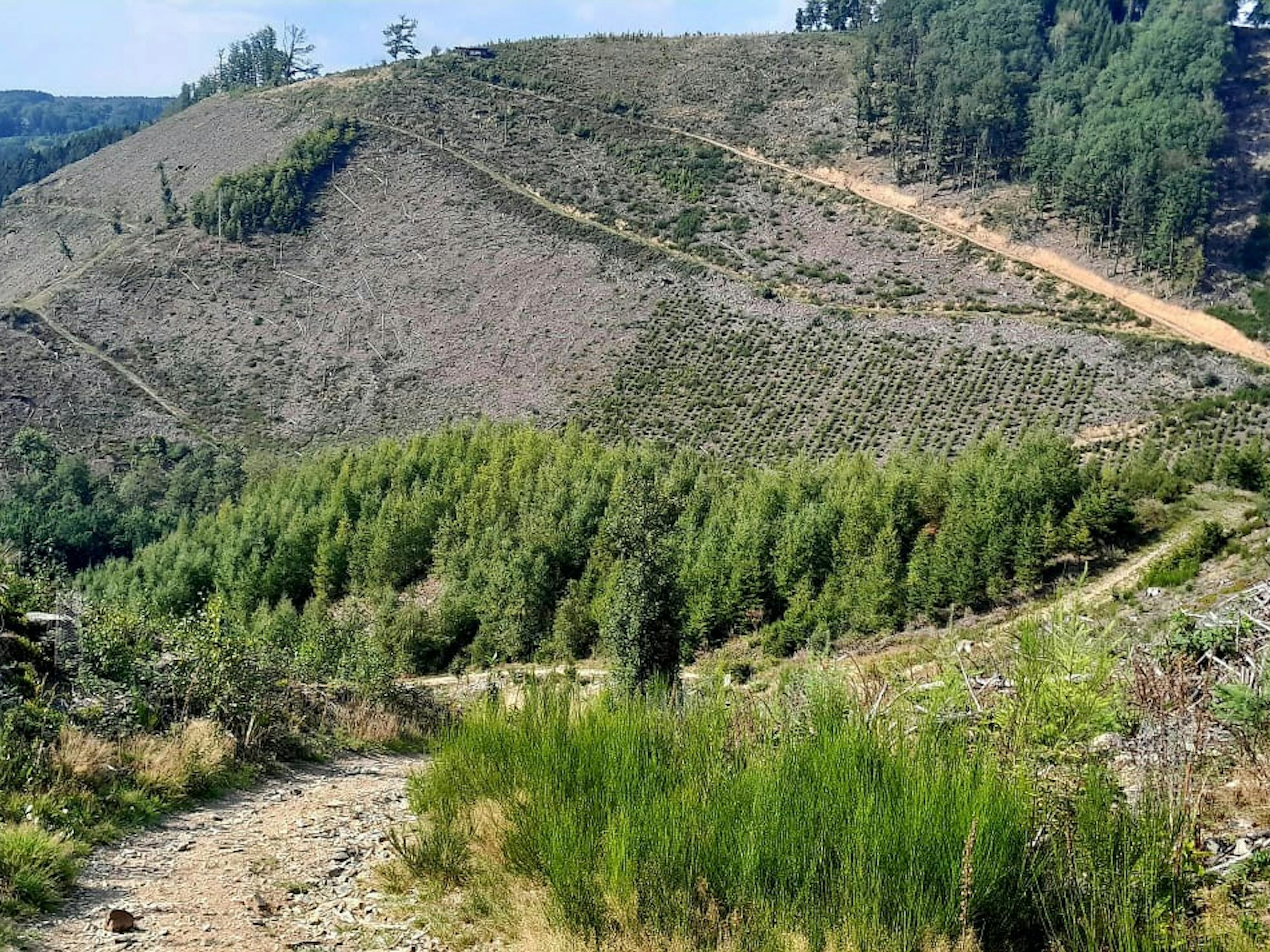 The rugged hills of the ardenne 