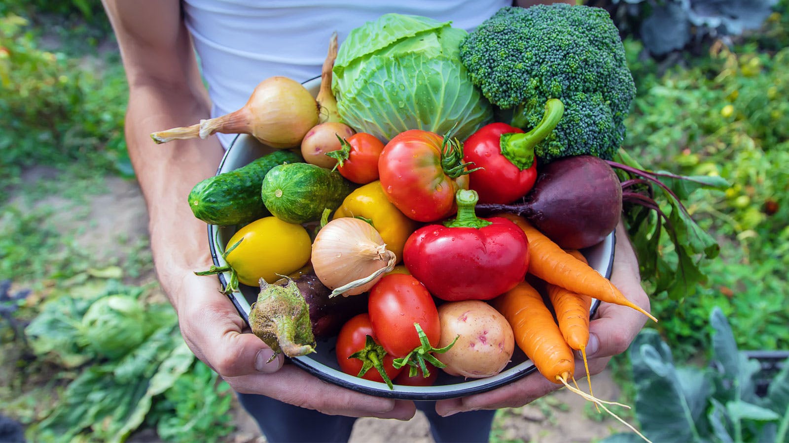 Gemüse: Konservierung und Lagerung