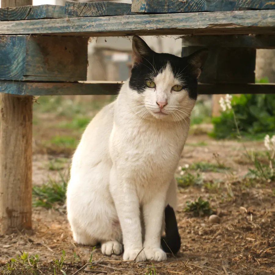 Petrov