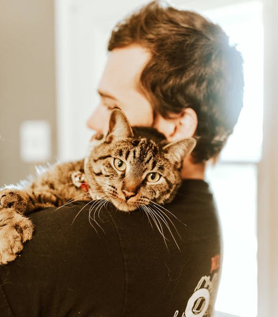 cat in man's arms