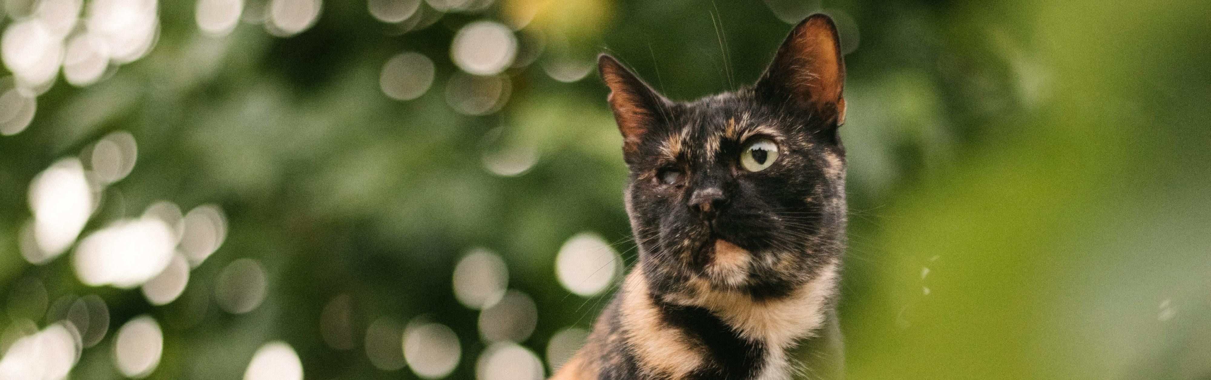 Foto de Bonny