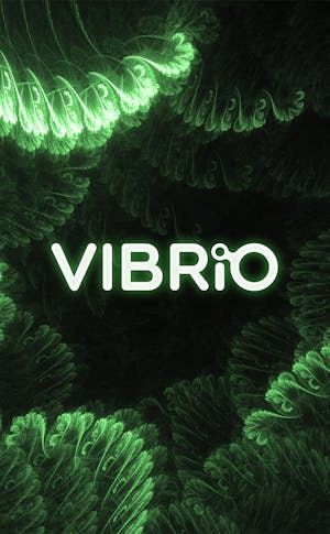 Vibrio agence PCO branding design by GAX clermont-Ferrand