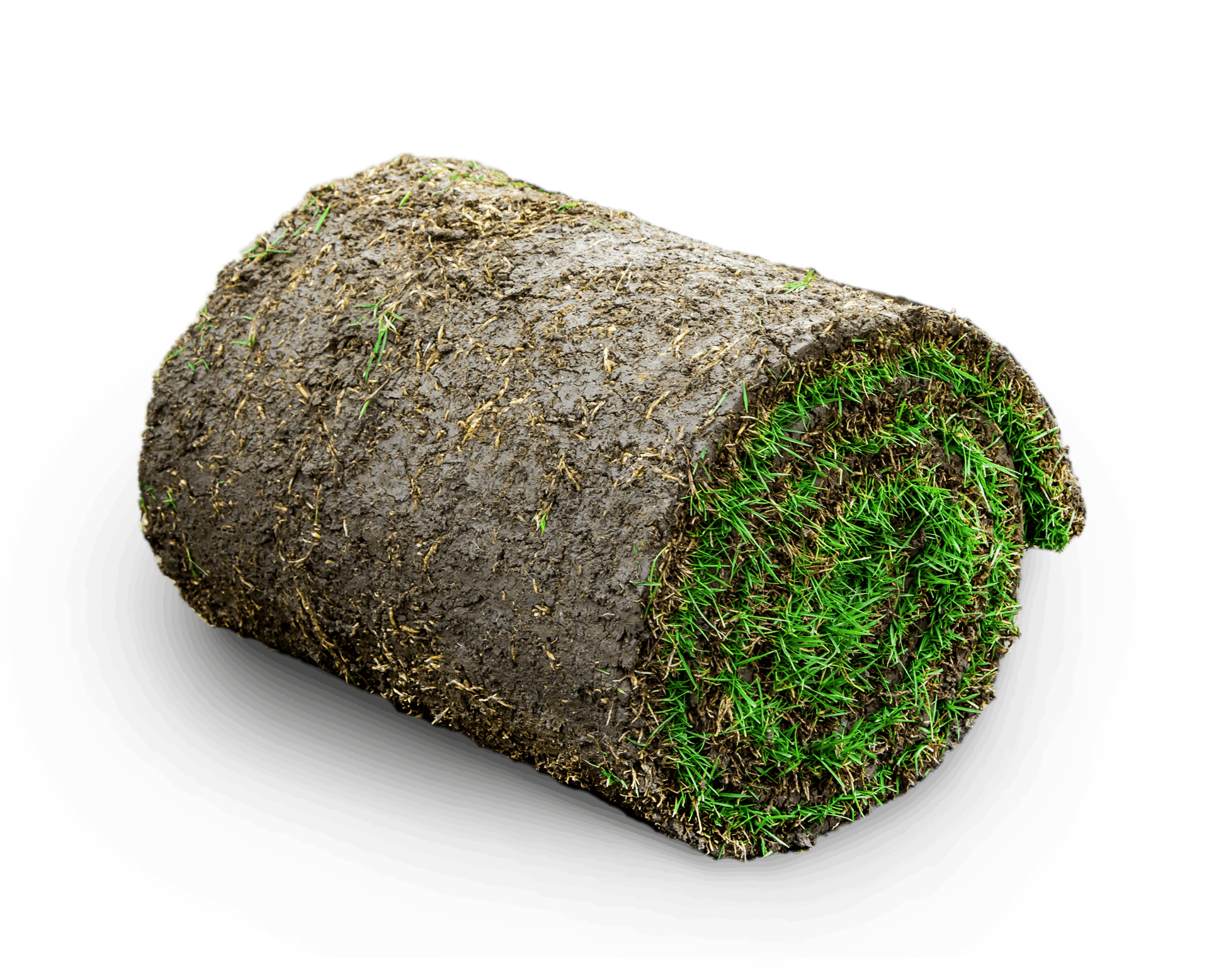 Gazon rulou natural
