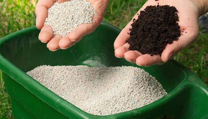 Cum se fertilizeaza gazonul
