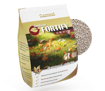 Fertilizant solid Fortify
