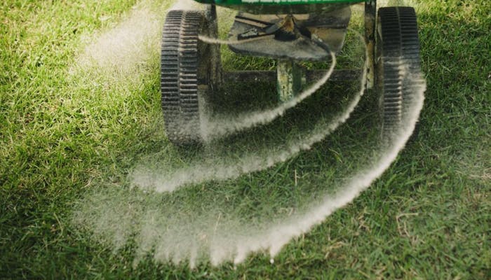 Cand fertilizam gazonul