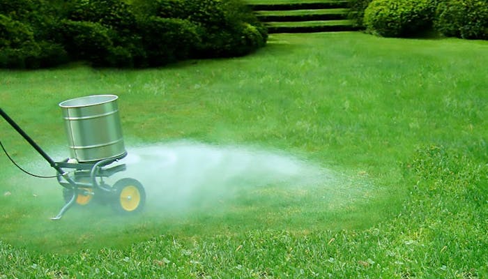 Fertilizanti pentru gazon