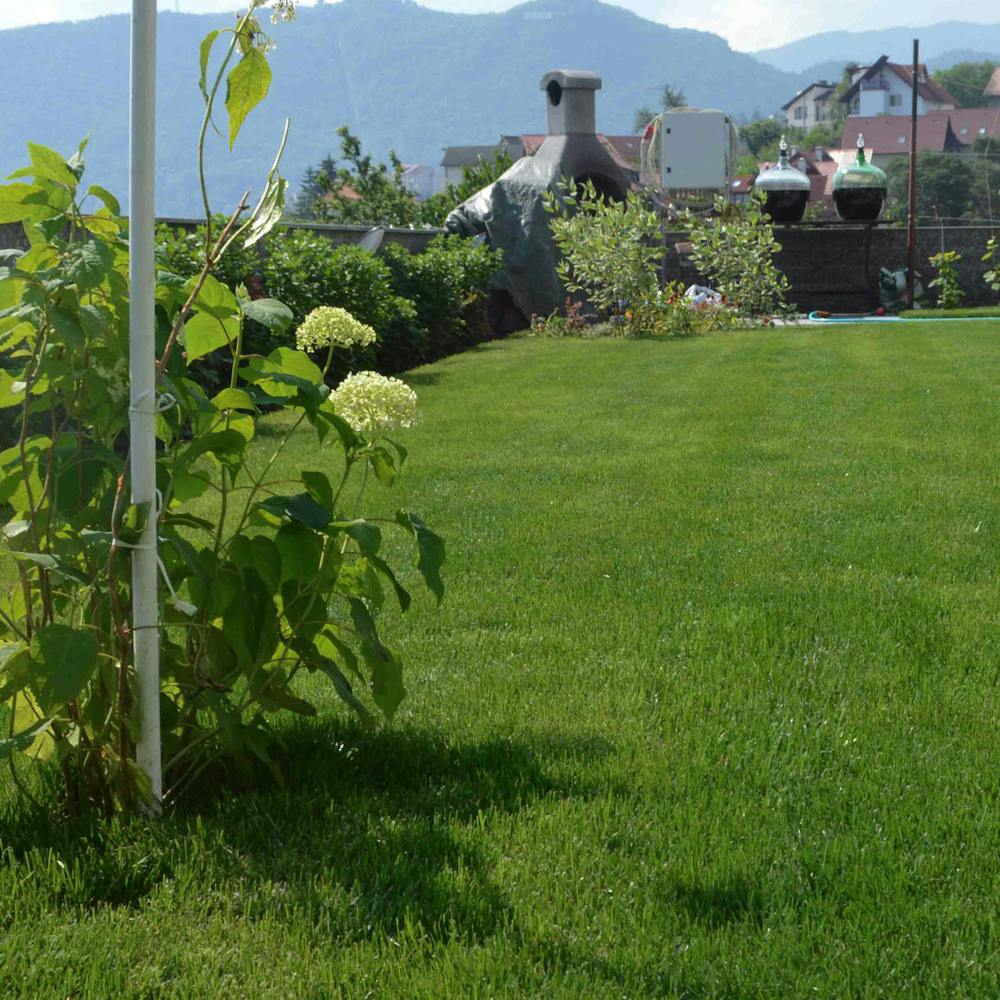 gradina cu mult spatiu liber gazon natural si plante