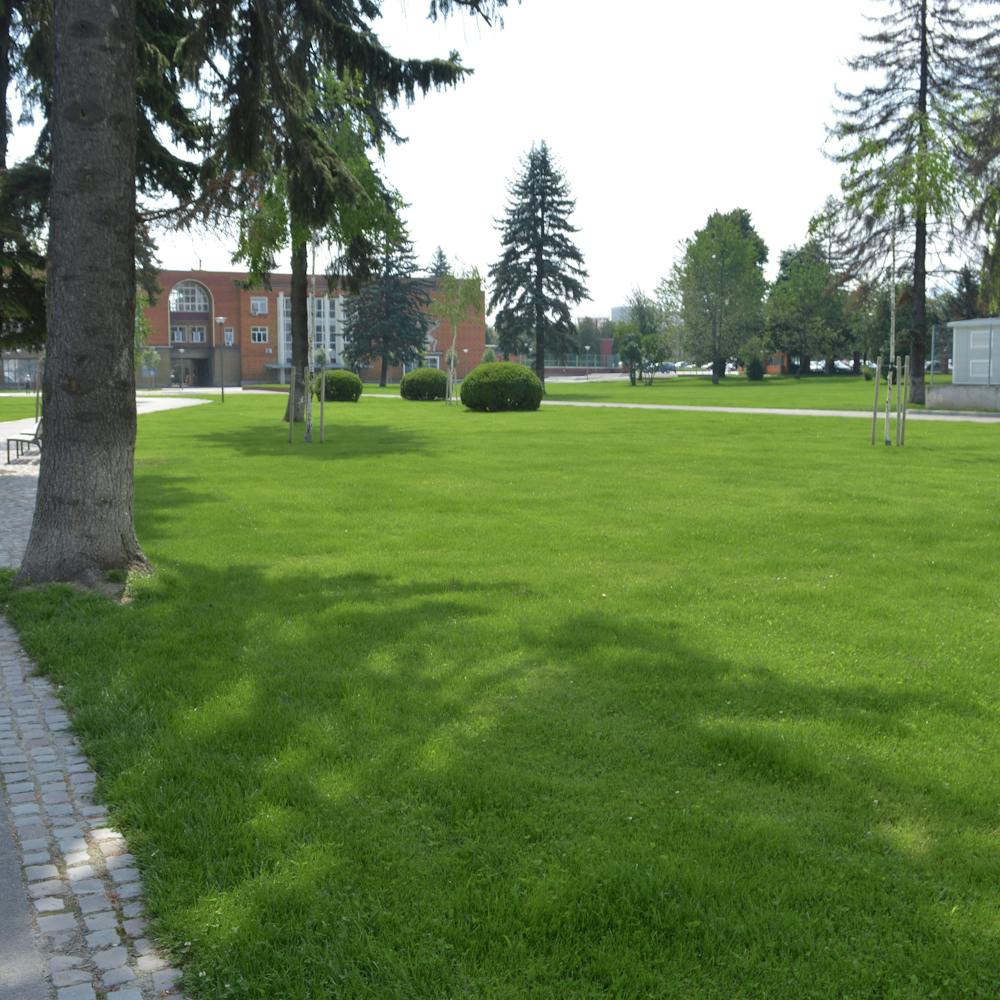 spatiu verde cu mult gazon si arbori de talie mare in zona industriala