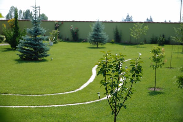 poteca de gazon in gradina plina de arbori