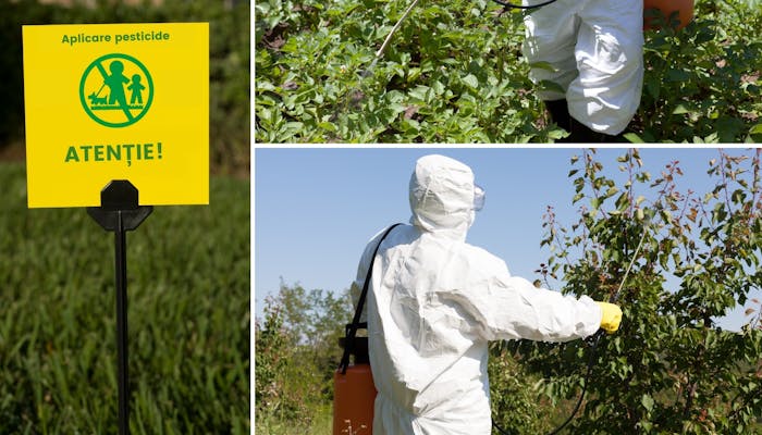 Cum aplicam pesticidele