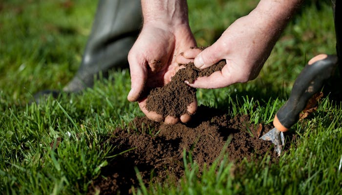 Pământul din grădină: când și cum testăm solul? 