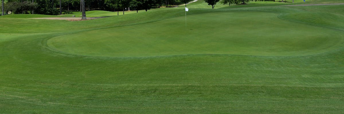 gazon natural modelat in relief pentru teren de golf