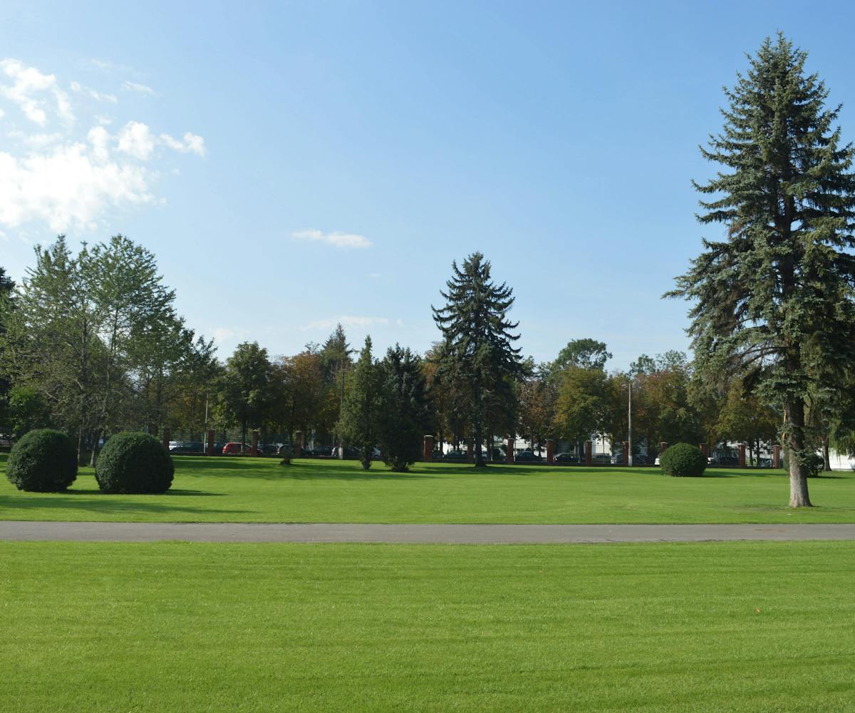 parc cu gazon si arbori mari si mult spatiu liber