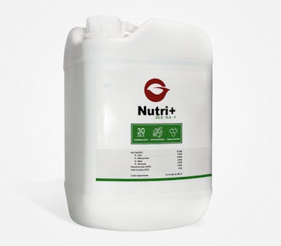 Fertilizant lichid Nutriplus